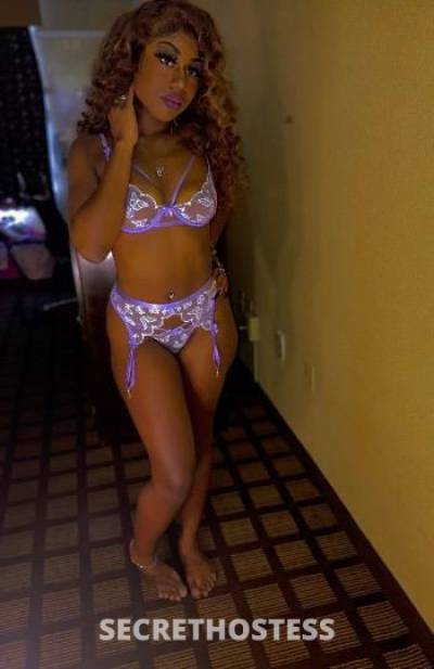 22Yrs Old Escort Los Angeles CA Image - 0