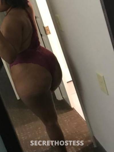 22Yrs Old Escort Tampa FL Image - 2