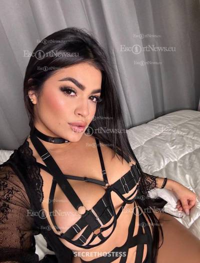 25 Year Old Latino Escort Amsterdam - Image 2