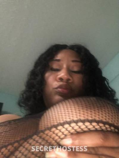 34Yrs Old Escort Tampa FL Image - 0