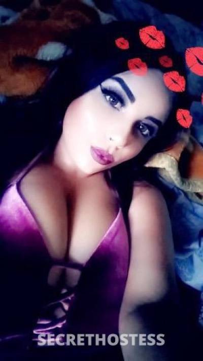 Alizaee 23Yrs Old Escort Visalia CA Image - 1