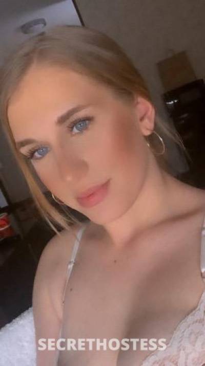 Alyssa 20Yrs Old Escort San Jose CA Image - 2
