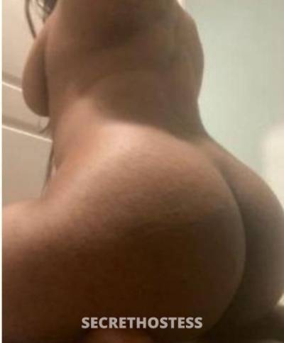 Anna 22Yrs Old Escort St. Augustine FL Image - 0