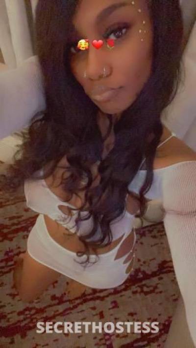 Ashley 25Yrs Old Escort Newport News VA Image - 2