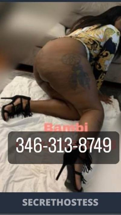 Bambi 24Yrs Old Escort Houston TX Image - 0