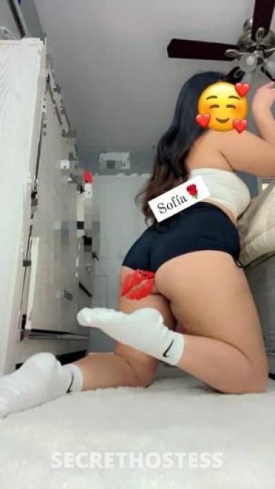 Claudia 23Yrs Old Escort Dallas TX Image - 2