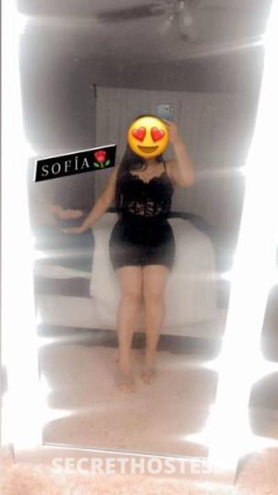 Claudiachicaslatinas 23Yrs Old Escort Dallas TX Image - 0