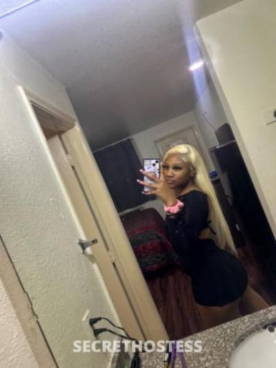 Kiki 22Yrs Old Escort Waco TX Image - 2