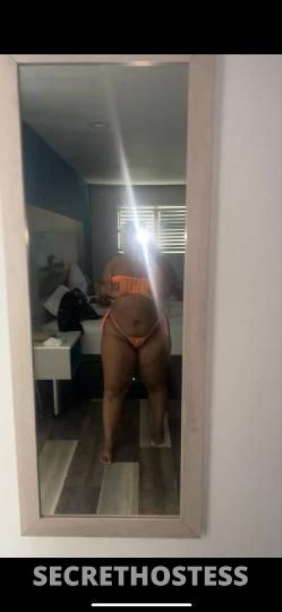 Lexi 21Yrs Old Escort San Diego CA Image - 2