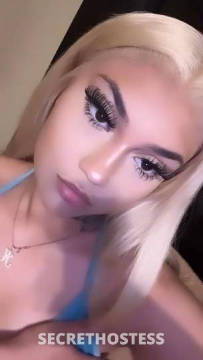 Naomi 20Yrs Old Escort Columbia SC Image - 2