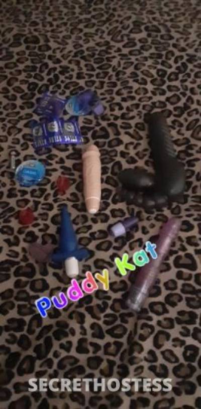 PuddyKat 29Yrs Old Escort Tucson AZ Image - 1