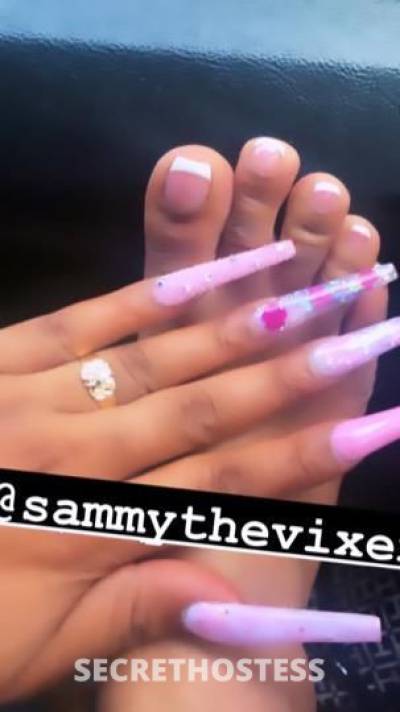 Sammy 25Yrs Old Escort Albuquerque NM Image - 1