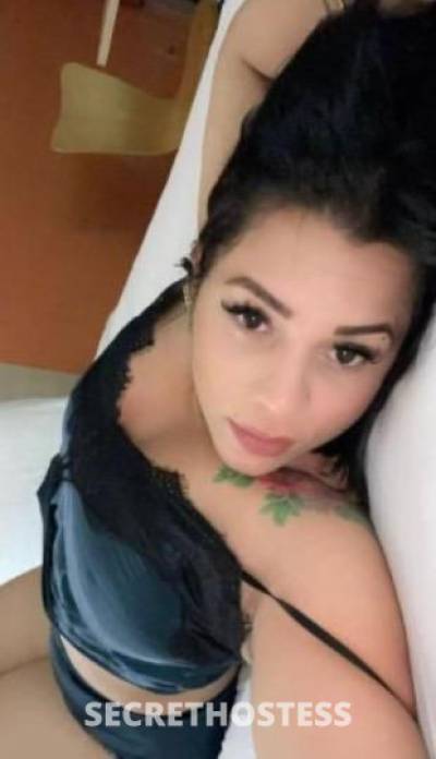 Sofia 26Yrs Old Escort Beaumont TX Image - 2