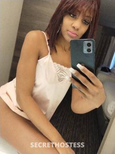 Sosha 25Yrs Old Escort Nashville TN Image - 1