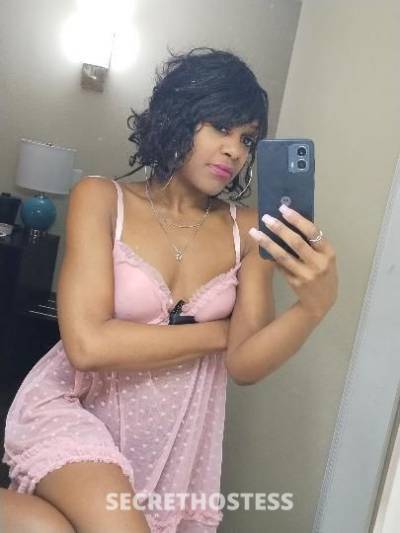 Sosha 25Yrs Old Escort Nashville TN Image - 2