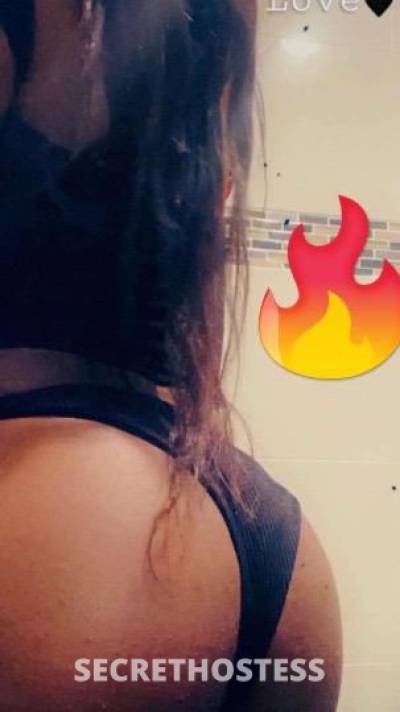 TSMalaysia 25Yrs Old Escort Hudson Valley NY Image - 1