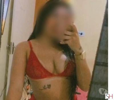 19Yrs Old Escort Paraná Image - 0