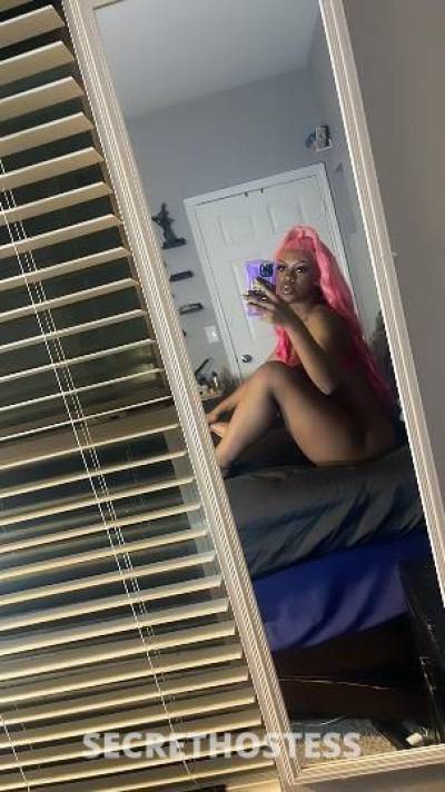 23Yrs Old Escort Houston TX Image - 1