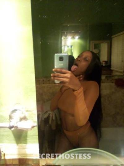 24Yrs Old Escort Los Angeles CA Image - 1