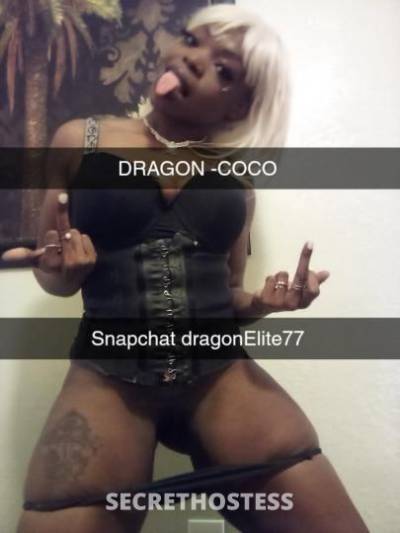 28Yrs Old Escort Houston TX Image - 3