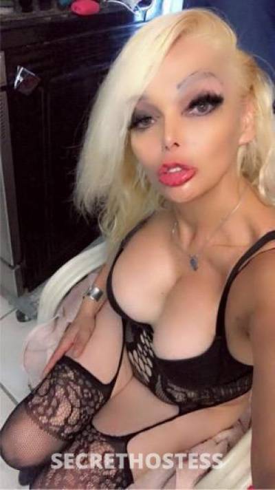 Hannah 35Yrs Old Escort San Jose CA Image - 2