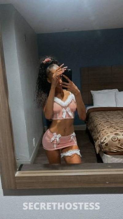 Honee 23Yrs Old Escort Los Angeles CA Image - 2