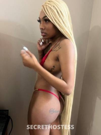 KREAM💦👄 23Yrs Old Escort Shreveport LA Image - 1