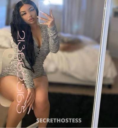 Miamibabeee 22Yrs Old Escort Los Angeles CA Image - 0