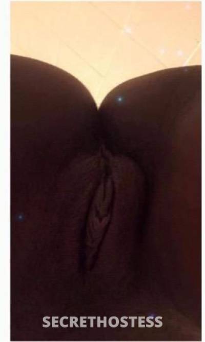 Moonpie 27Yrs Old Escort Biloxi MS Image - 1