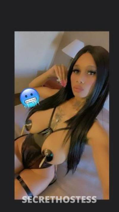 Pretty 25Yrs Old Escort Fresno CA Image - 1