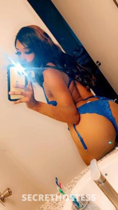 Rose 25Yrs Old Escort Bakersfield CA Image - 1