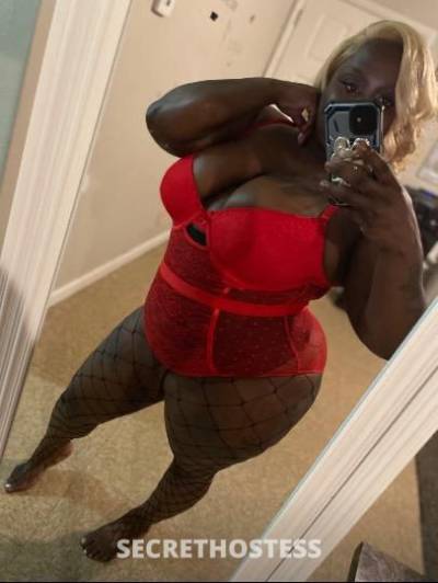 Shay 30Yrs Old Escort Saint Louis MO Image - 2