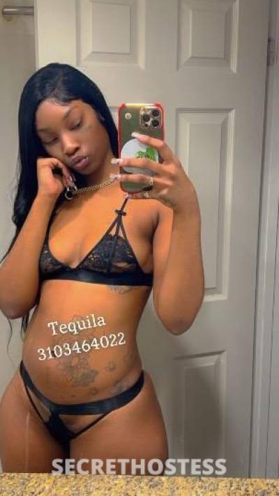 Tequila 23Yrs Old Escort San Fernando Valley CA Image - 0