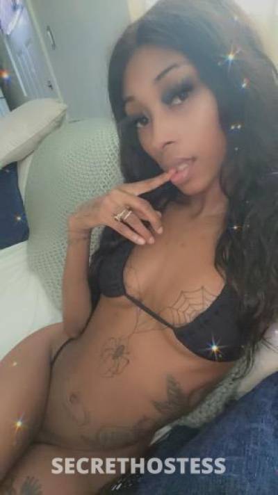 Yoyo 24Yrs Old Escort Honolulu HI Image - 2