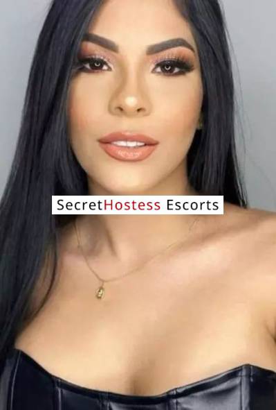 24 Year Old Colombian Escort Zagreb - Image 5