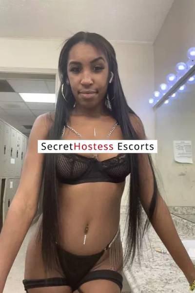 25 Year Old Latino Escort Washington DC - Image 1