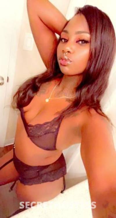 Rinaa 29Yrs Old Escort Phoenix AZ Image - 1