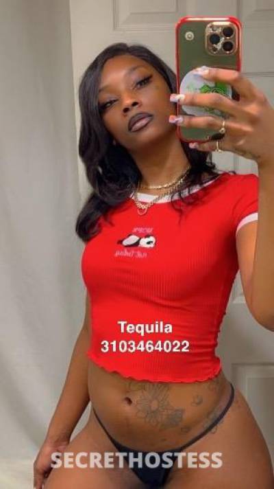 Tequila 23Yrs Old Escort San Fernando Valley CA Image - 1