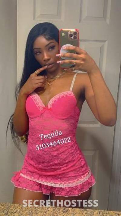 Tequila 24Yrs Old Escort San Fernando Valley CA Image - 0