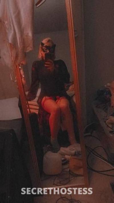 24Yrs Old Escort Southeast Missouri MO Image - 2