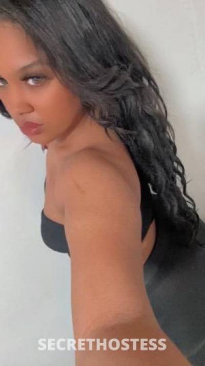 Bella 22Yrs Old Escort Springfield MA Image - 0