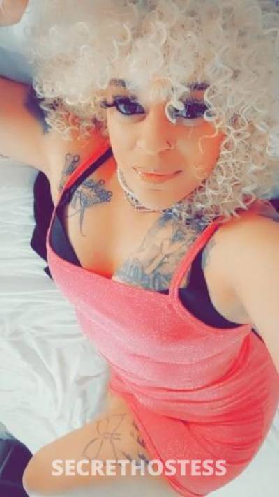 Katt 34Yrs Old Escort Phoenix AZ Image - 1