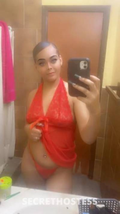 calico 26Yrs Old Escort Houston TX Image - 0