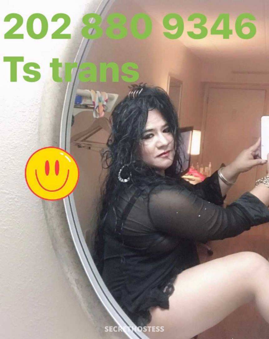 latina .sexy ts trans.i am no women ok i am only ts transexual.i have nice  ass pussy culo for you dick visiting charlotte nc open24hrs.ablo espaÑol Escorts  Charlotte NC USA