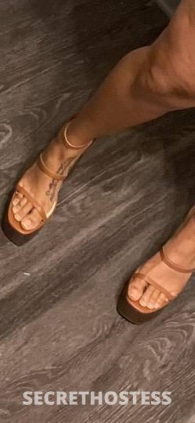 21Yrs Old Escort 162CM Tall Scranton PA Image - 2