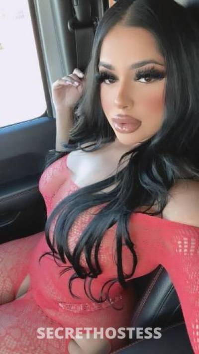 25 Year Old Middle Eastern Escort Phoenix AZ - Image 2