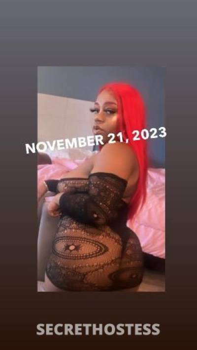 28Yrs Old Escort Fargo ND Image - 2