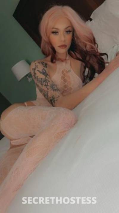 Angel 24Yrs Old Escort Indianapolis IN Image - 1
