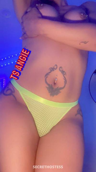 Angie 27Yrs Old Escort Long Island NY Image - 4