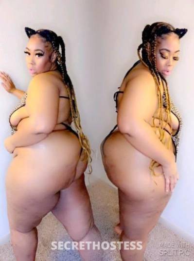 BlackMonroe 31Yrs Old Escort Houston TX Image - 0